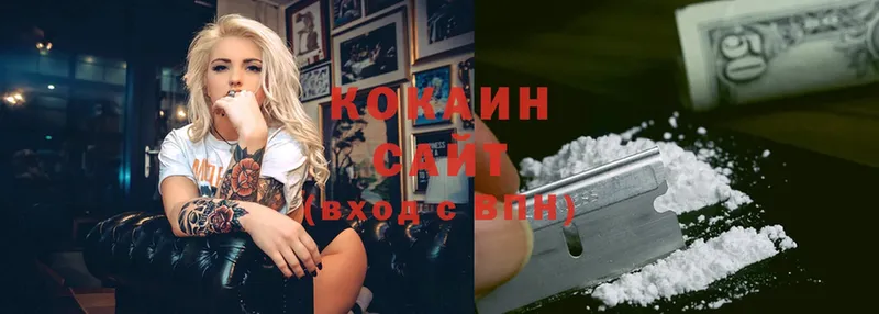 COCAIN Fish Scale  Артёмовск 